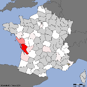 Implantation du patronyme &quo